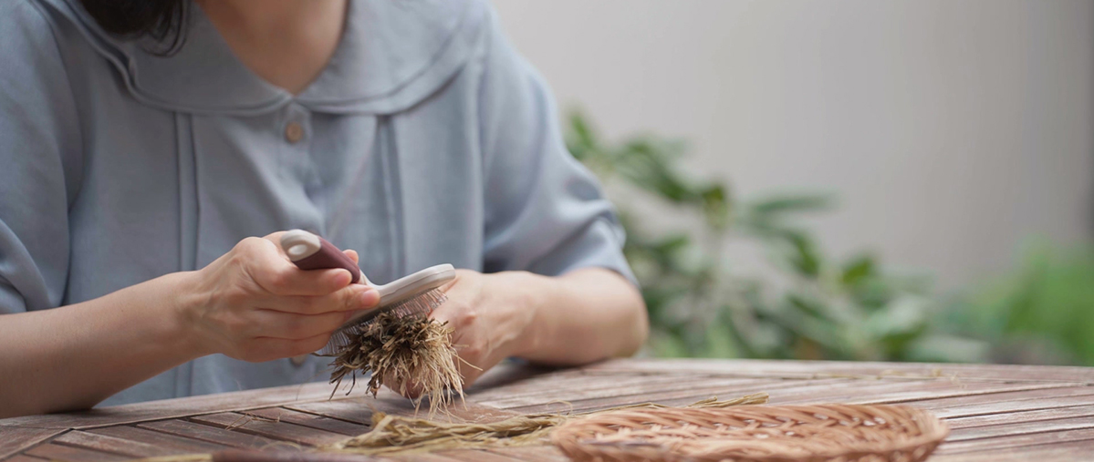 상단 비주얼 이미지